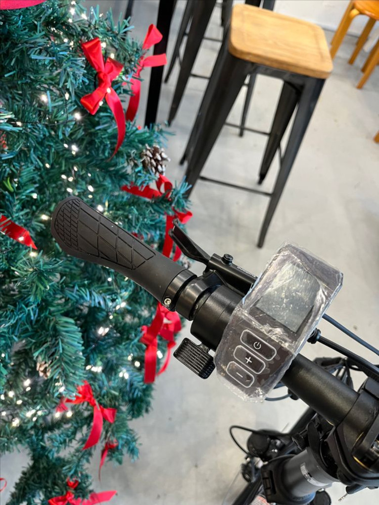 알톤 접이식 전기자전거 (미주행 새 상품) 이미지