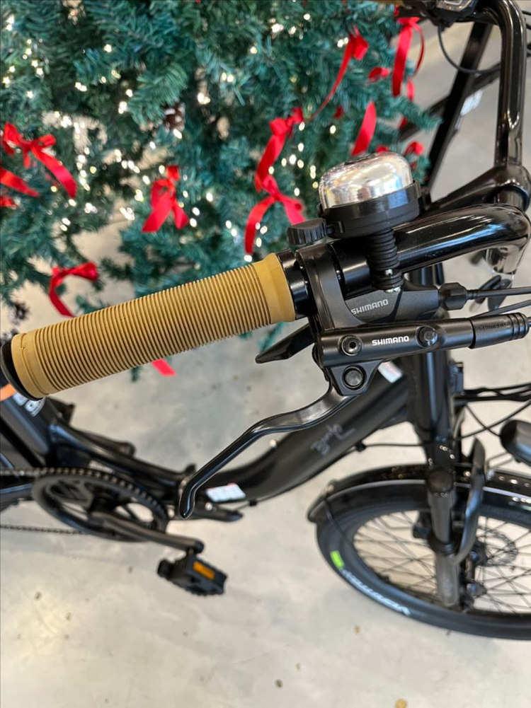 알톤 접이식 여성용 전기 자전거 이미지