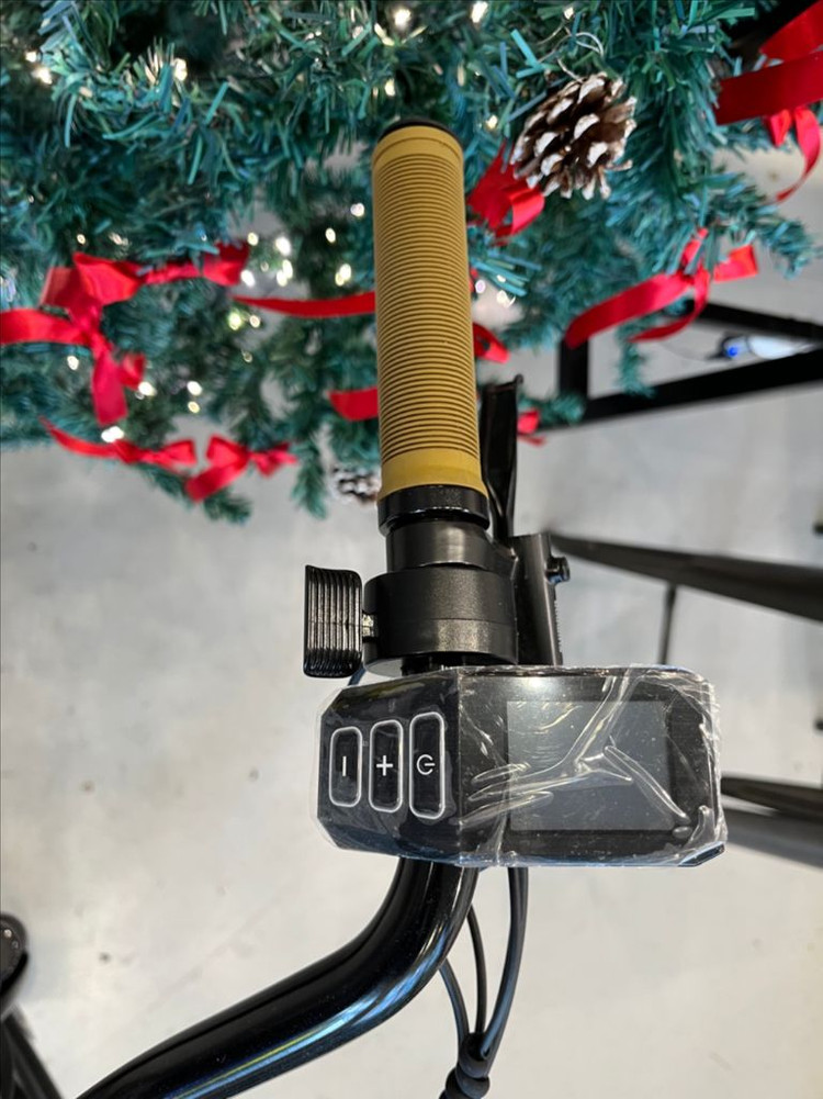 알톤 접이식 여성용 전기 자전거 이미지