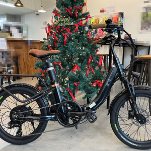 알톤 접이식 여성용 전기 자전거 이미지