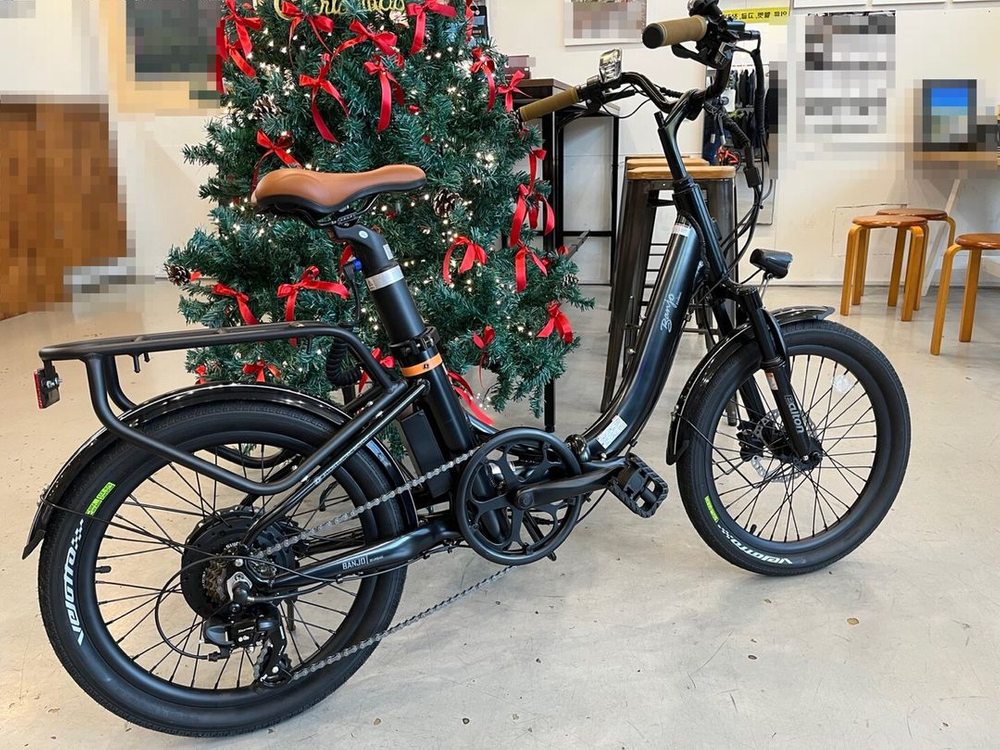 알톤 접이식 여성용 전기 자전거 이미지