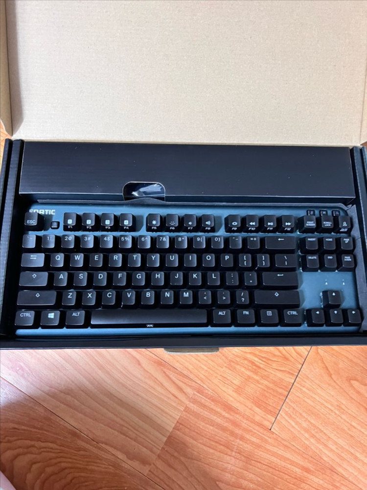 프나틱기어 미니 사일런트 적축--1