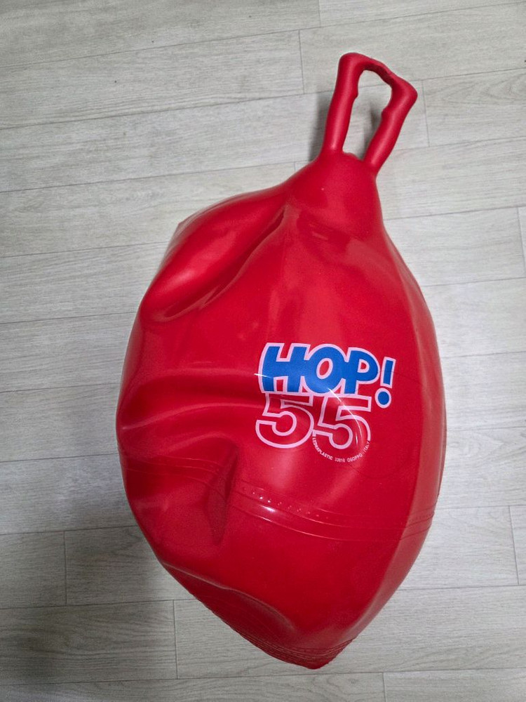 아동 짐닉 짐볼 55cm--1