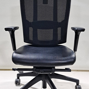 듀오텍스 의자 (BR-S200C)