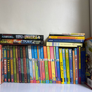 영어원서 로알드달 등 47권 일괄 택포