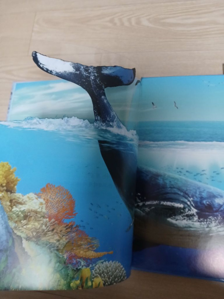 톨스토이 꿈틀꿈틀 자연관찰 전집 84권--2