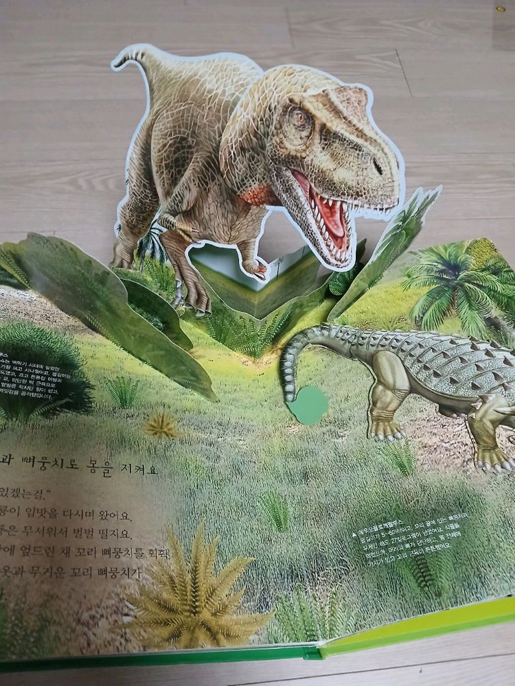 톨스토이 꿈틀꿈틀 자연관찰 전집 84권--4