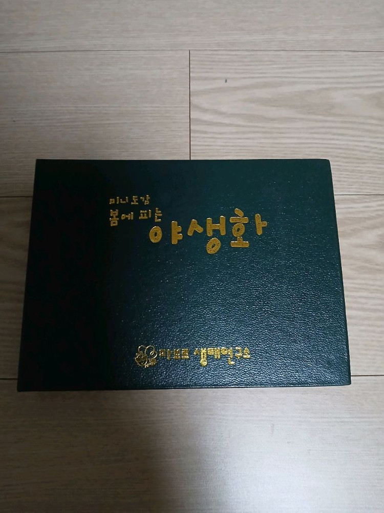 톨스토이 꿈틀꿈틀 자연관찰 전집 84권--6