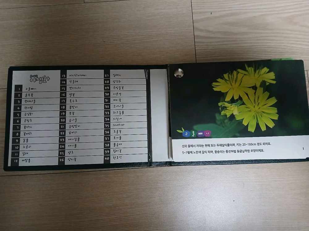 톨스토이 꿈틀꿈틀 자연관찰 전집 84권--7