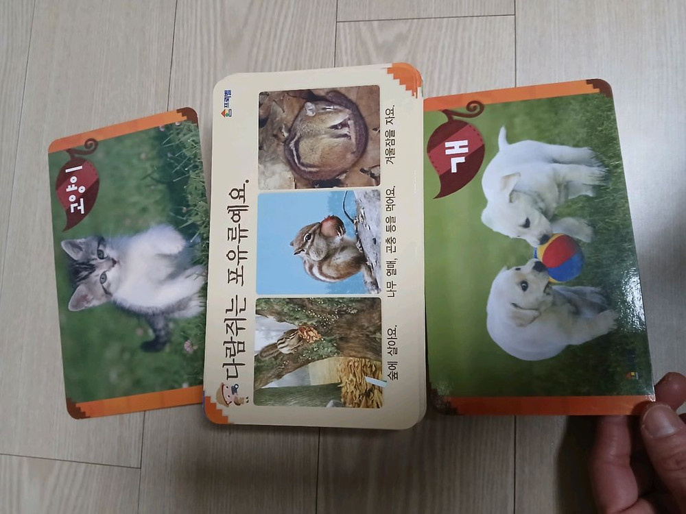 톨스토이 꿈틀꿈틀 자연관찰 전집 84권--8