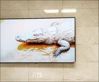 엘지 EVO 77인치 올레드 에보 고급형 OLEDTV UHD 울트라티비 4K 스마트TV 모델명 77C1QNB 가격--2