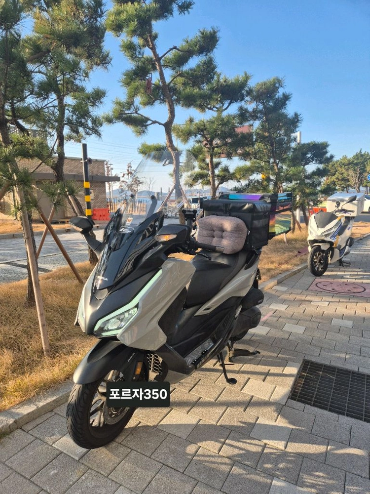 포르자350 24년식 - 안심되는 중고거래