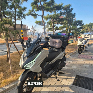 포르자350 24년식