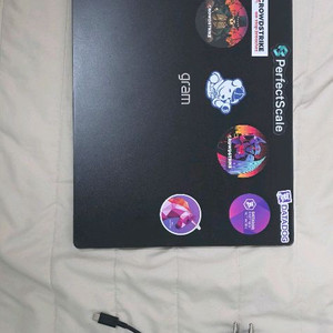 LG전자 그램 Pro 17 RTX3050 옵시디안블랙 • 코어Ultra7 • 512GB • 32GB • WIN11