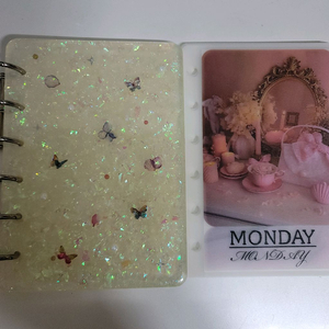 현생 현금생활 챌린지 A7 레진 홀로그램 바인더 및 요일 속지 일괄