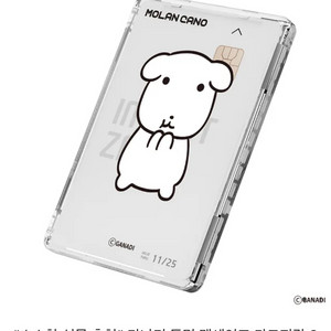 (새상품) 가나디 투명 맥세이프 카드지갑