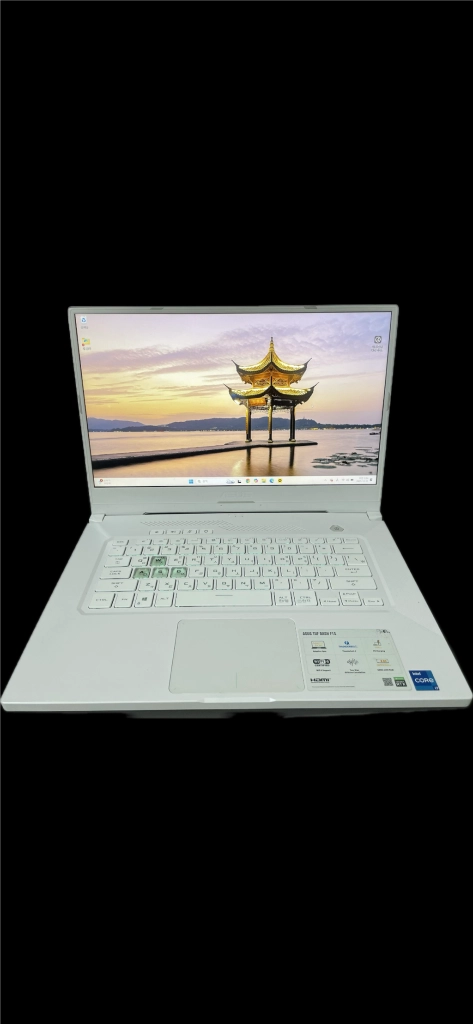 ASUS TUF Dash F15 FX516PM (화이트) - 안심되는 중고거래