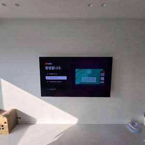 LG 65인치 OLED TV 이미지