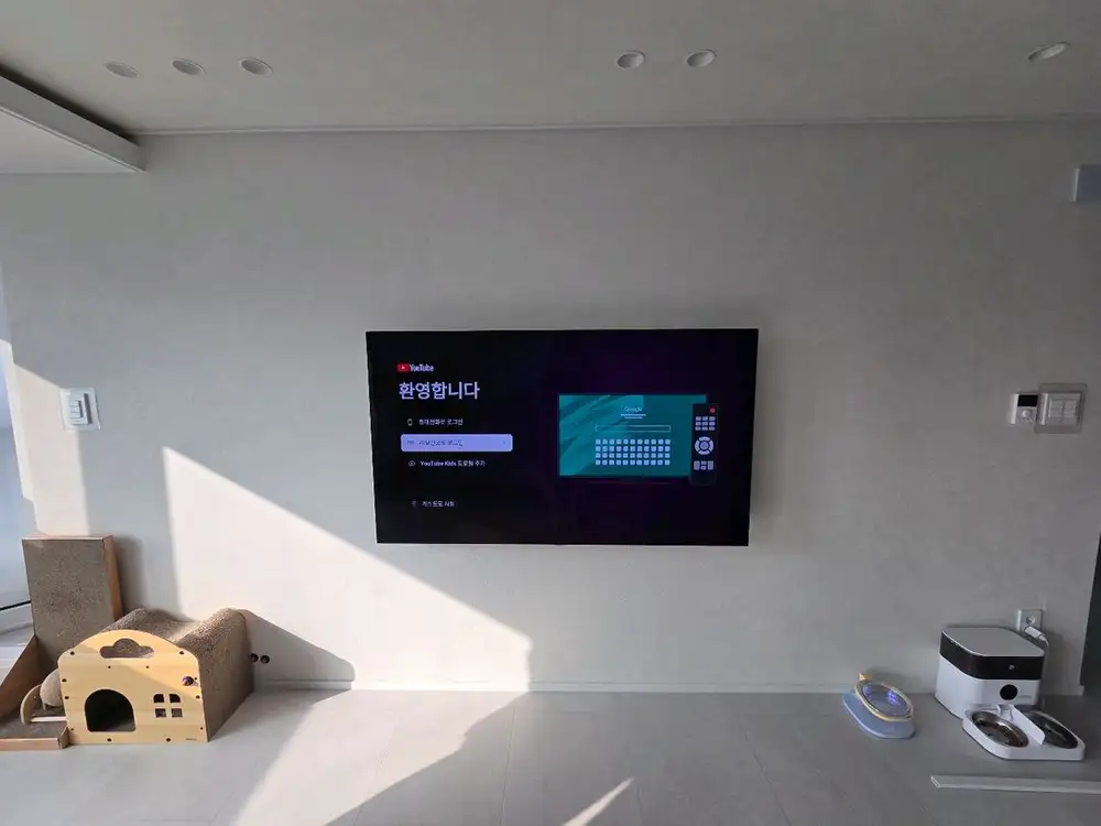 LG 65인치 OLED TV 이미지
