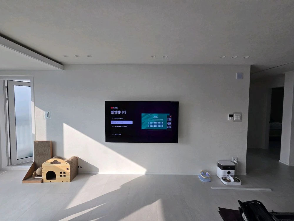 LG 65인치 OLED TV 이미지