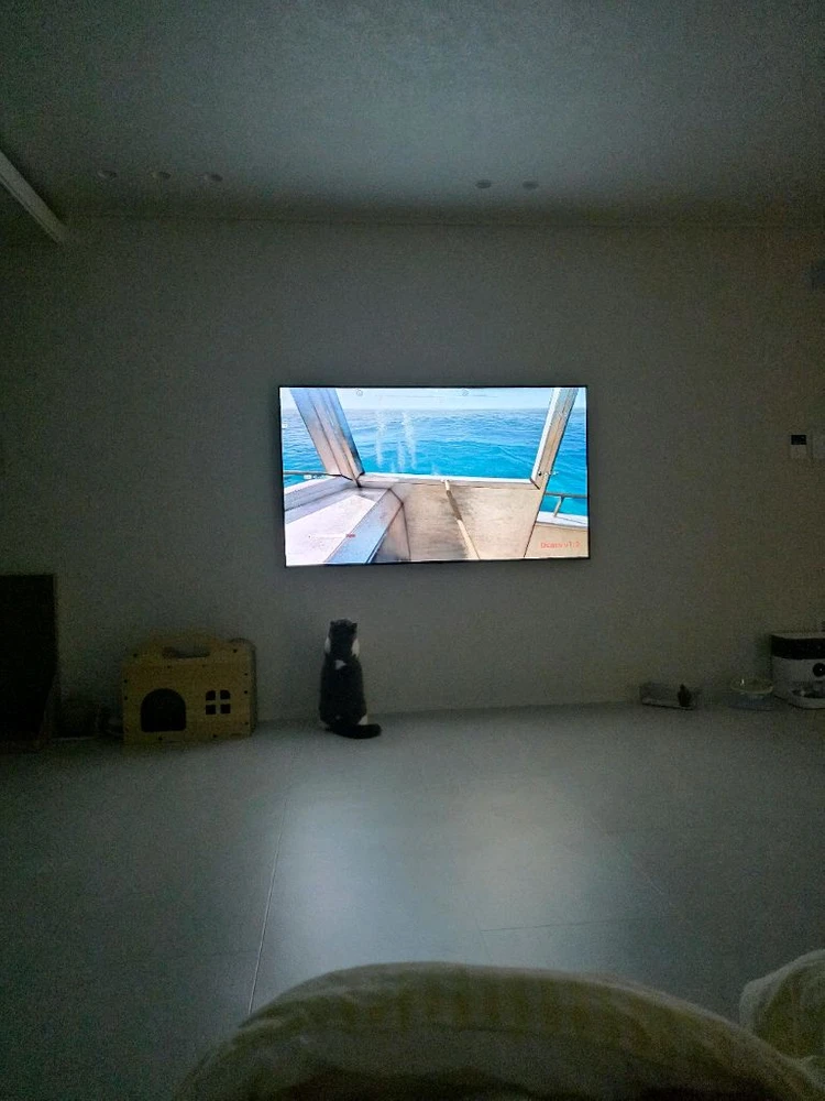 LG 65인치 OLED TV 이미지