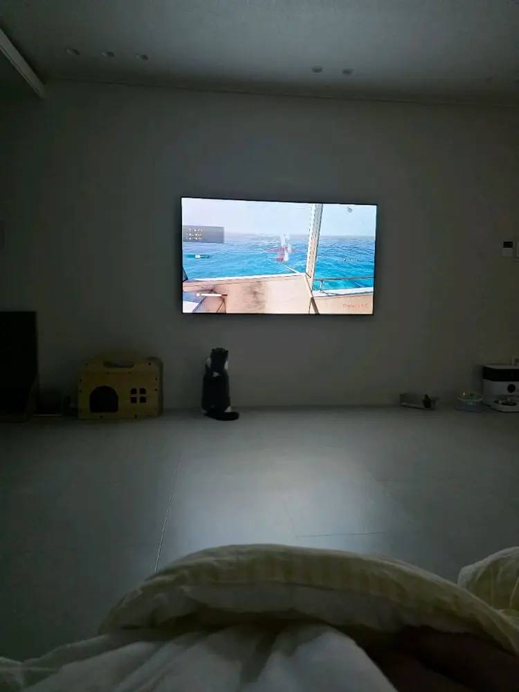 LG 65인치 OLED TV 이미지