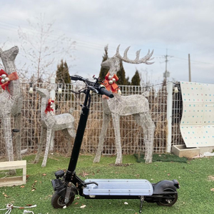 ts600 프리고다이렉트 전동킥보드