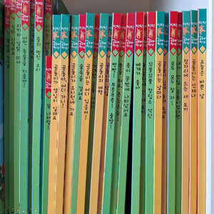 탄탄곰돌아 안녕