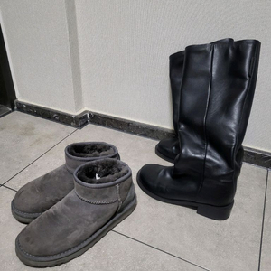 골든구스,롱부츠,호주숏어그 230