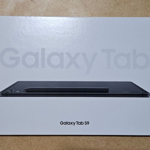 25년 여름) 갤럭시탭 S9 wifi 256g 256 버전