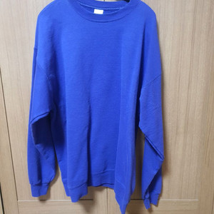 헤인즈 Hanes 맨투맨 티셔츠 L사이즈