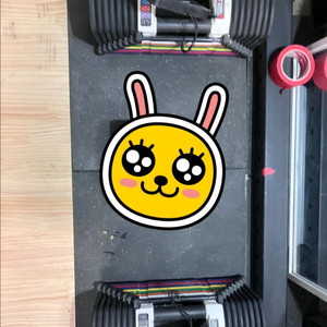 구형 파워블럭 41kg 무게조절덤벨