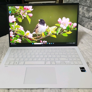 LG그램 14Z95N-GP50ML화이트