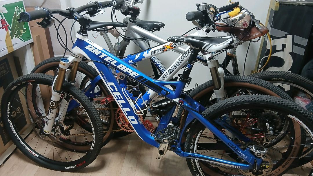 첼로 인텔로프70--2