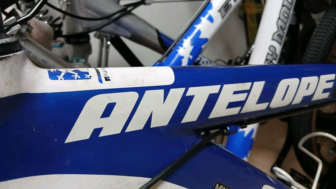 첼로 인텔로프70--6