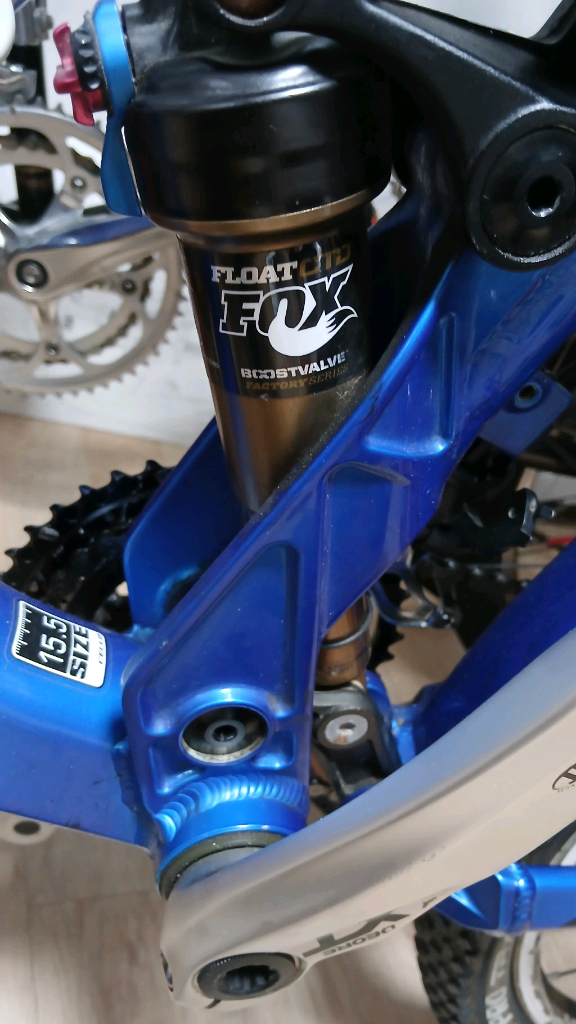 첼로 인텔로프70--8