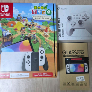 닌텐도 스위치 OLED + 킹콩3맥스 패드 세트