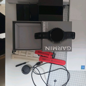 가민 포러너 955