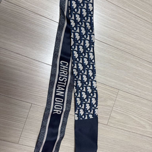 디올 방도 오블리크 미차 네이비