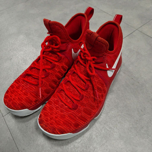 나이키 줌 KD 9 바시티 레드 농구화 270 이미지