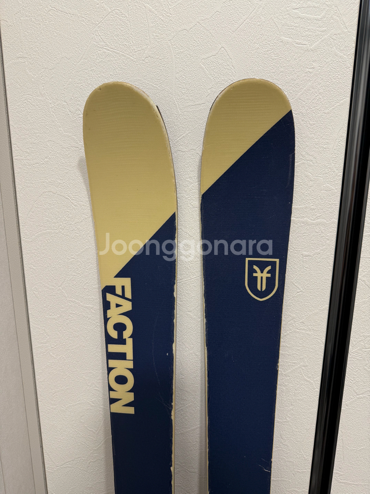 팩션 캔디드 1.0 프리스키, 폴--1