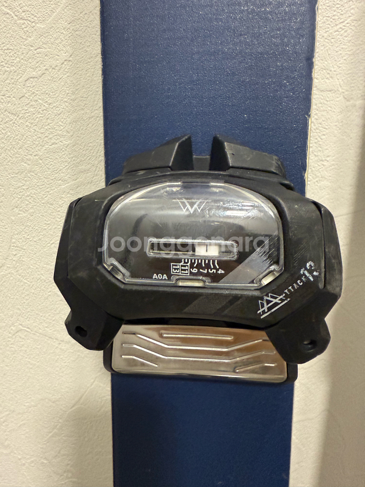 팩션 캔디드 1.0 프리스키, 폴--3