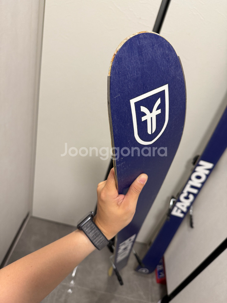 팩션 캔디드 1.0 프리스키, 폴--5