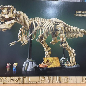 레고 76968 공룡 화석 T-렉스