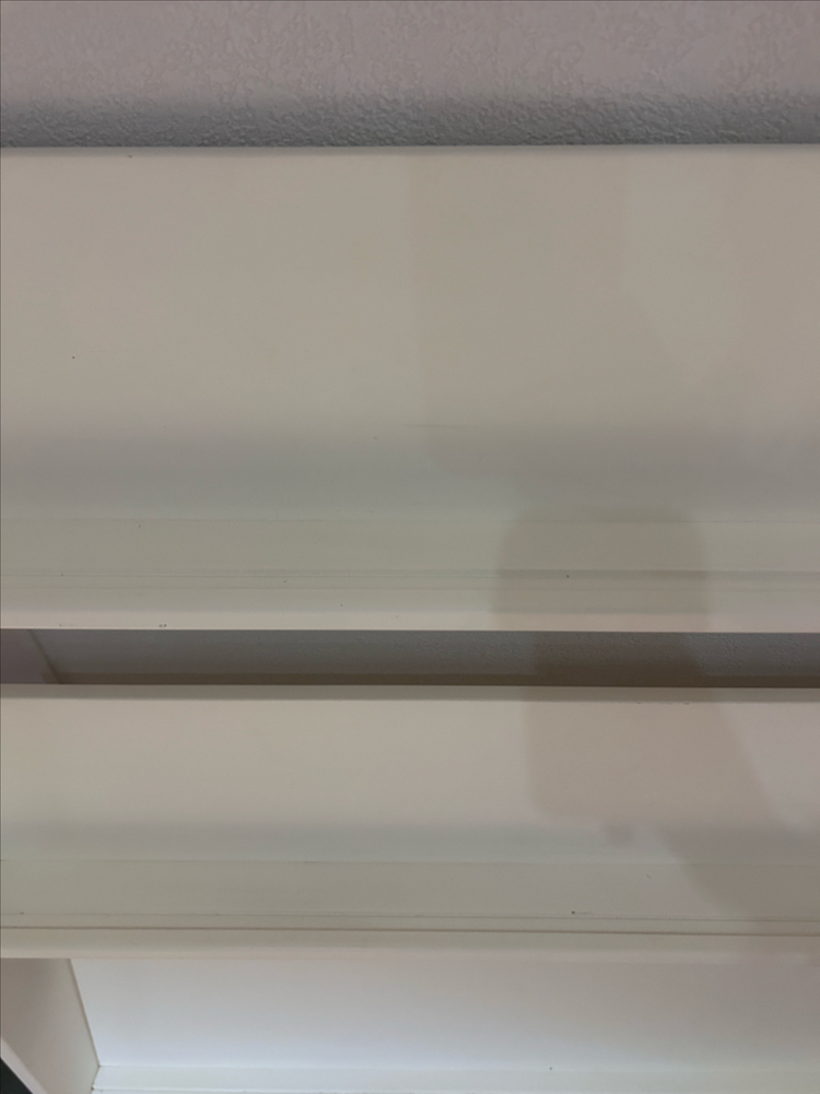 트리앤그린 전면책장 1200 이미지