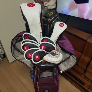 여성초급용 정품 야마하 씨즈 HM+ 풀세트 저렴히 판매해요