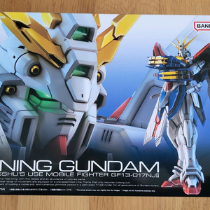 (미개봉) 반다이 RG 갓건담