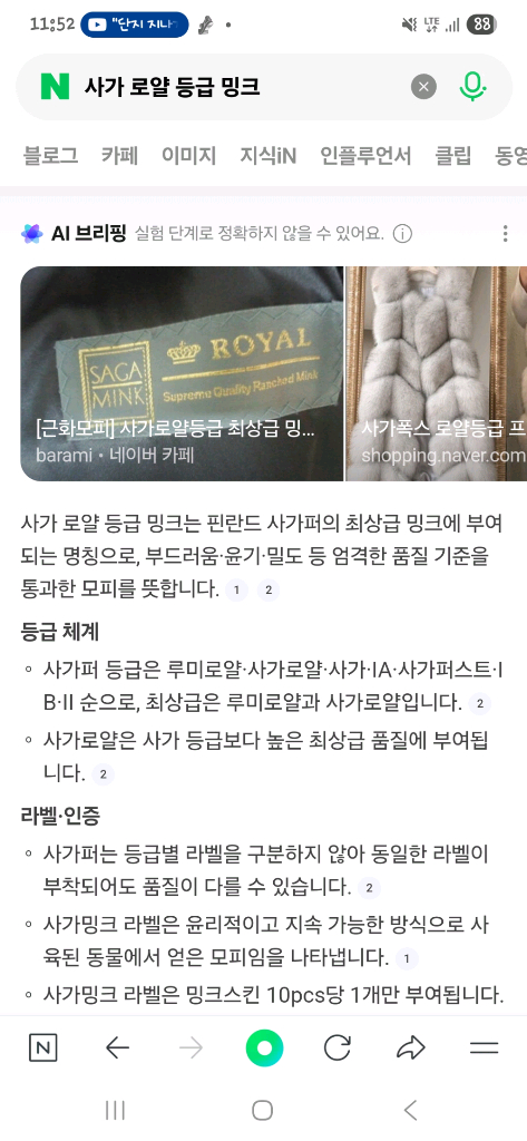 대동모피 사가 로얄 밍크 코트 +여우목도리 이미지