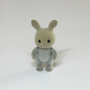 실바니안 올드 회색토끼