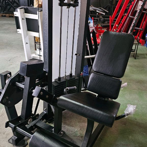 해머스트렝스. 카피 레그익스텐션. 떨이